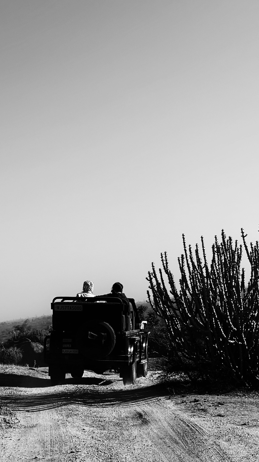 A safari vehicle at dawn on a dust road in the African bush